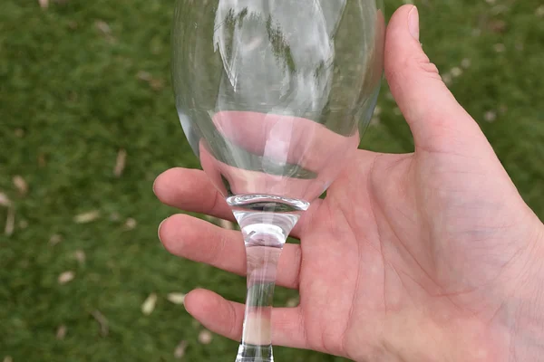 Verres à vin 