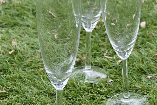 Flûtes à champagne