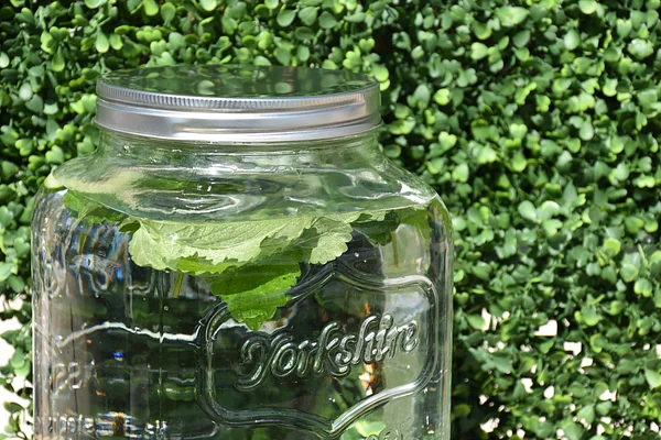 Grande jar à cocktail de 8L